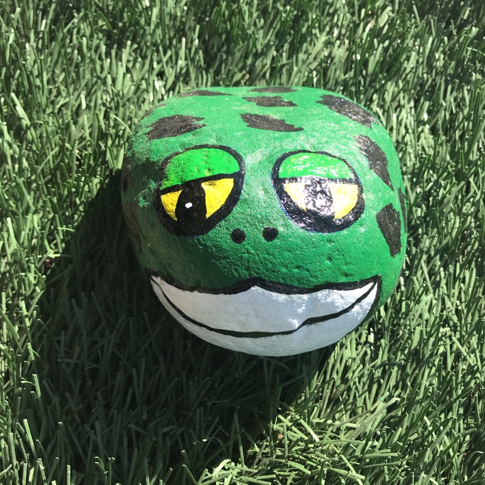 Frog painted rock
